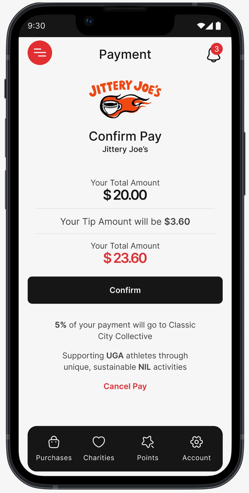 Purpose Payment payment detail screen